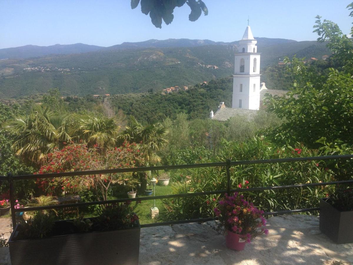 Santo-Pietro-di-Tenda Casa Di Emma Bed & Breakfast エクステリア 写真