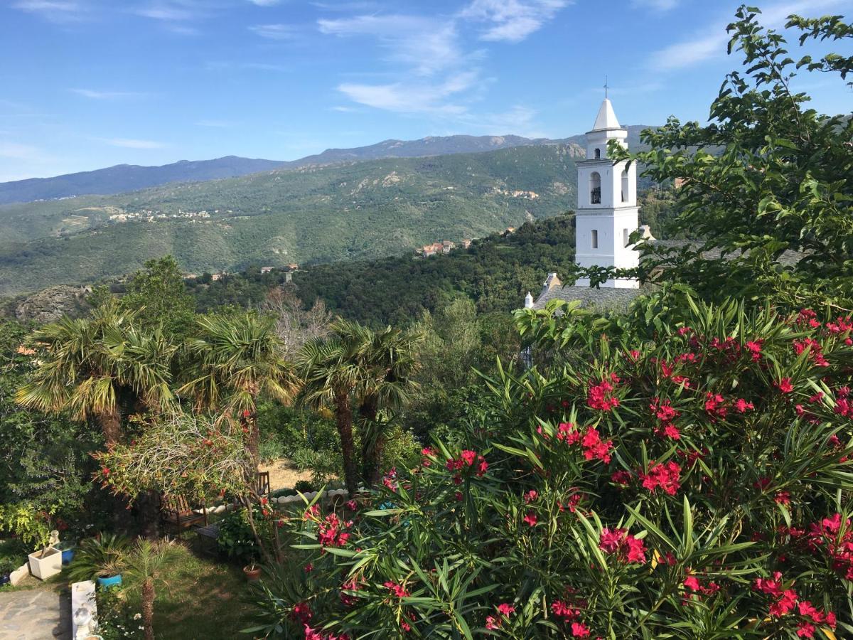 Santo-Pietro-di-Tenda Casa Di Emma Bed & Breakfast エクステリア 写真