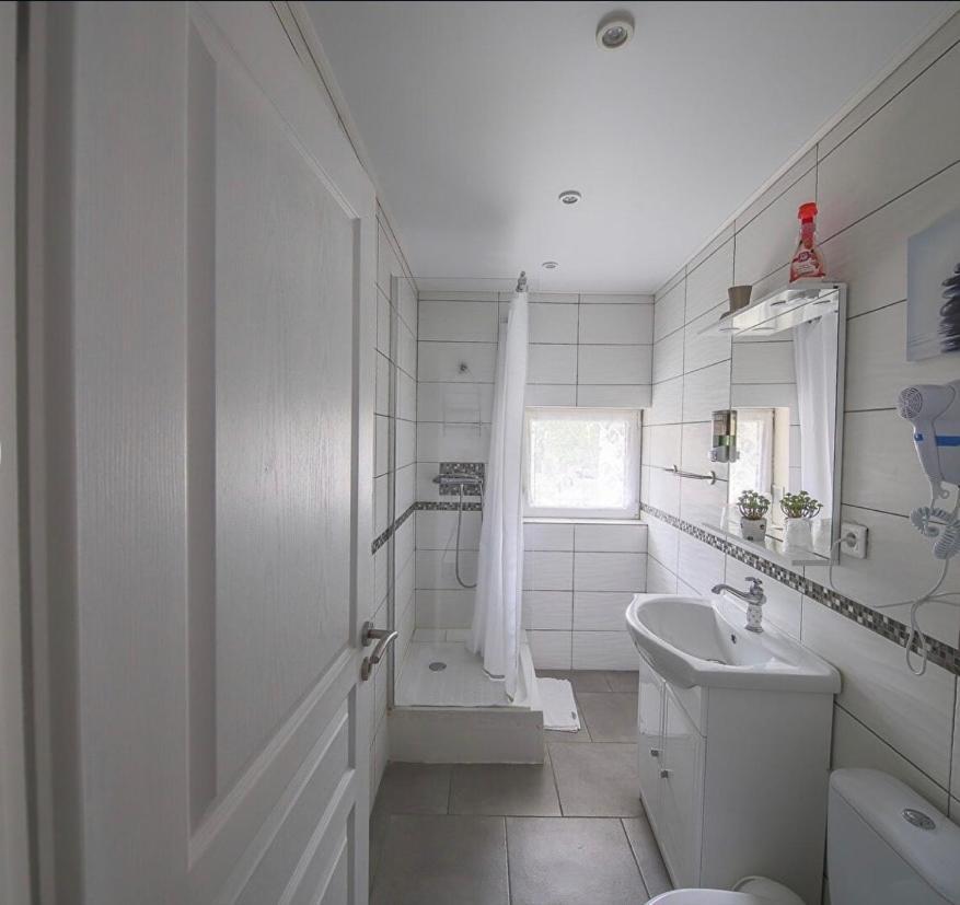 Santo-Pietro-di-Tenda Casa Di Emma Bed & Breakfast エクステリア 写真